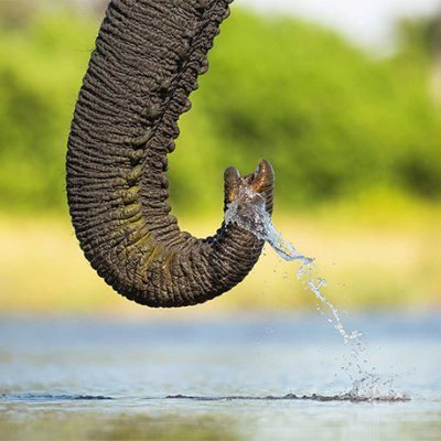 img__gallery--6