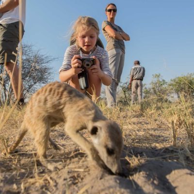 meerkat + kid 3