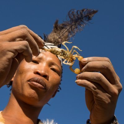Bushman