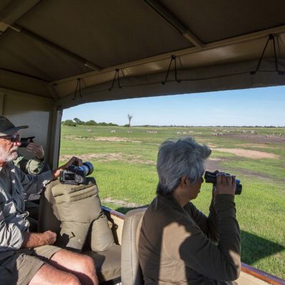 Chobe zeb scene