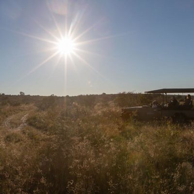 Tau Pan camp (1 of 1)
