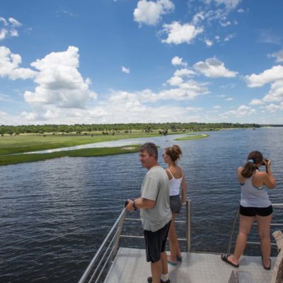 Chobe elephants