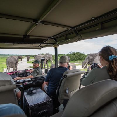 elephant view from car