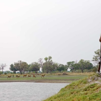 guidelechwe-shin-5717_hi-res