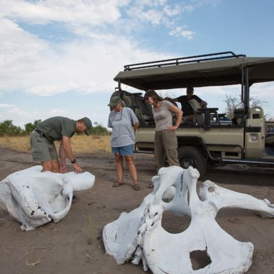 guiding out of car