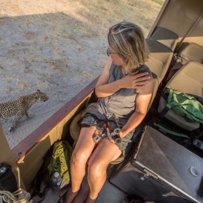 leopard-close-to-car