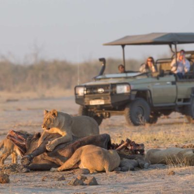 savuti game drive 2