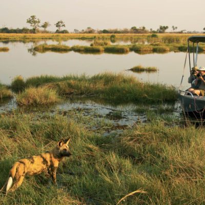 _Copyright_Beverly_Joubert_Selinda_Safari_Botswana_4177