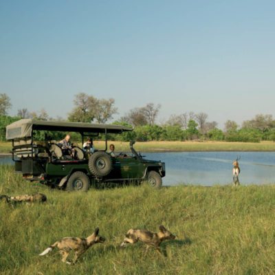_Copyright_Beverly_Joubert_Selinda_Safari_Botswana_5006