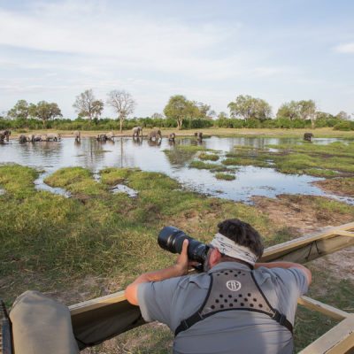 khwai eles river photo