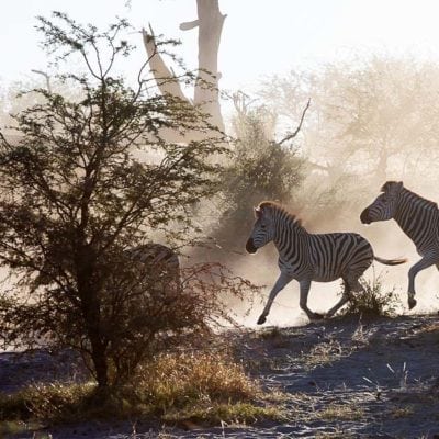 AV3O6872