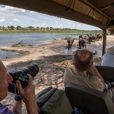 elephants-on-Boteti-for-WLS-site-3-1-of-1